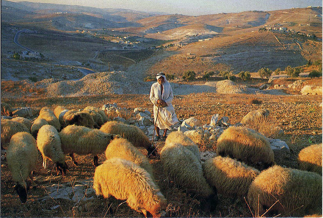 Grace Grips ~ John 10:22-30